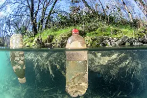 Scrap: Half-air, half-water view of plastic bottles floating