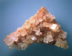 Cubes: Halite