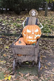 Pumpkins: Halloween display using pumpkins and skeleton in