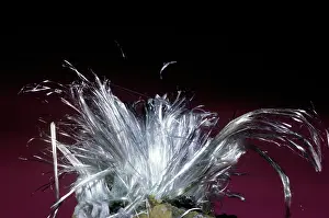 Hydrous: Halotrichite from California