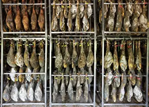 Factory: Ham of Black Iberian Pig in a curing factory in the town