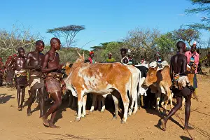 Party: Hamer people at a ceremony - Omo valley Ethiopia