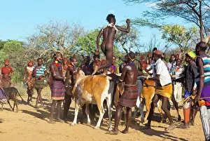 Party: Hamer people at a ceremony - Omo valley Ethiopia