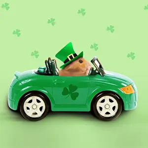 Patrick: Hamster - driving car - Saint Patrick's Day
