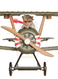 Aeroplane: Hamster - flying aeroplane