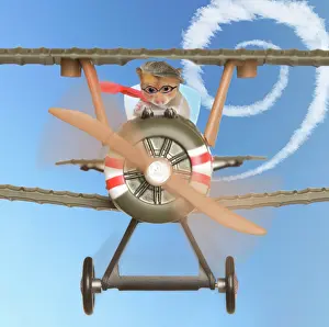 Aeroplane: Hamster - flying aeroplane