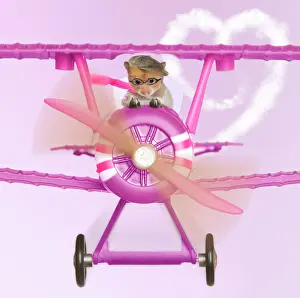 Aeroplane: Hamster - flying aeroplane