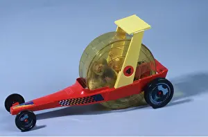 Hamsters: HAMSTER - in fun racing car cage