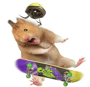 Jean-michel Labat: Hamster - with skateboard & helmet