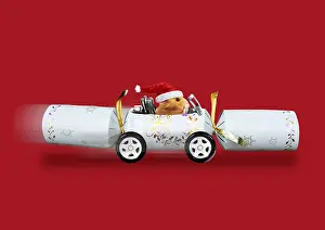 Cracker: Hamster wearing Christmas hat in Christmas cracker