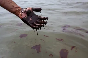 Slick: Hand covered in crude oil