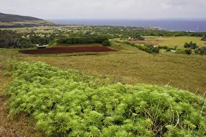 Hanga: Hanga Roa, principal town of the island, and its