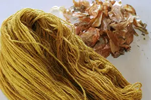 Wools: Hank of Sheep wool dyed craftsmen and Onion