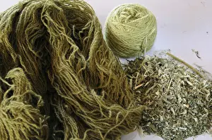 Wools: Hank of Sheep wool dyed craftsmen and Reseda