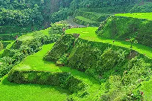 Hapao: Hapao rice terraces, part of the world heritage