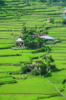 Hapao: Hapao rice terraces, part of the world heritage