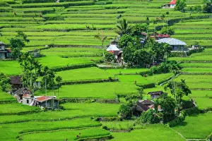 Hapao: Hapao rice terraces, part of the world heritage