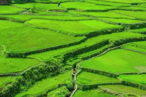 Hapao: Hapao rice terraces, part of the world heritage