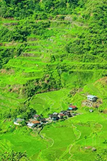 Hapao: Hapao rice terraces, part of the world heritage