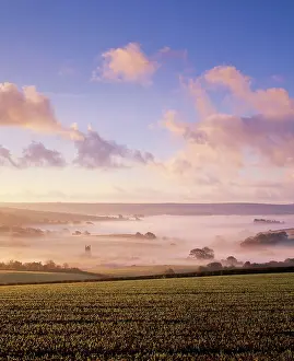 Anthony Harrison: Harberton, Devon, UK