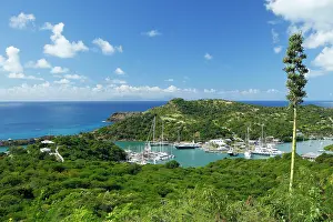 Mooring: Harbour on an Island, English Harbour, Antigua