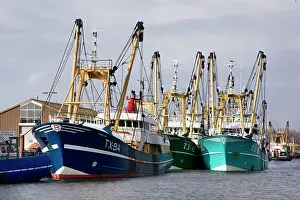 Trawler: Harbour Oudeschild