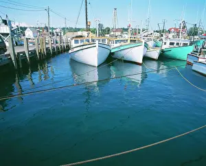 Quay: Harbour Tide