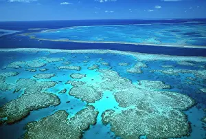Separated: Hardy Reef separated from Hook Reef by a deep channel