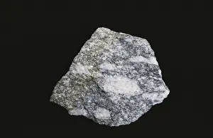 Coarse: Harrison Gneiss