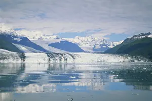 Prince: Harvard Glacier