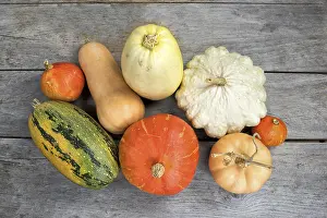Maxima: Harvest of various squash on a wooden table