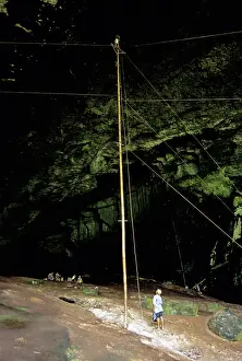 Sarawak: Harvesting Birds Nests, Niah, Malaysia