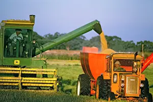 Harvesters: Harvesting rice Deniliquin