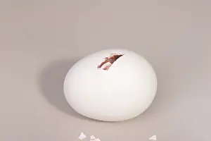 Leghorn: Hatching Chicken: 4 of 22