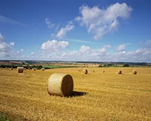 Bales: Hay Bales in Farmers Field