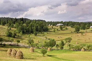 Hard: Hay harvest and haystack in the Apuseni