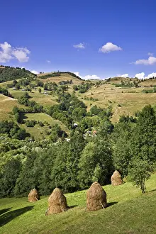Hard: Hay harvest and haystack in the Apuseni