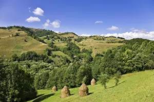 Hard: Hay harvest and haystack in the Apuseni