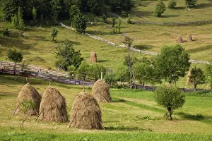 Hard: Hay harvest and haystack in the Apuseni