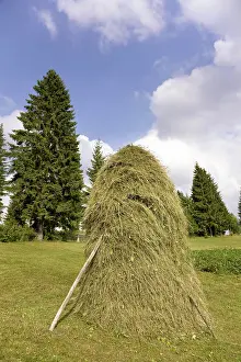 Hard: Hay harvest and haystack in the Apuseni