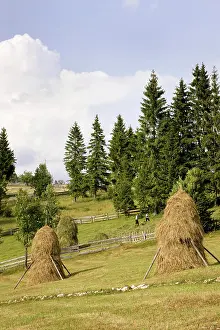 Stack: Hay harvest and haystack in the Apuseni