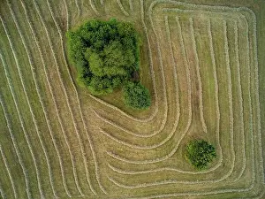 Lifestyle: Hay harvest, Sasbach, Baden-Wurttemberg, Germany, Europe