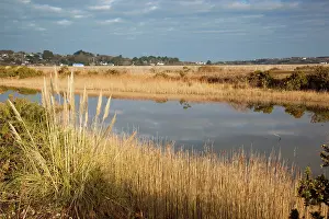 Rspb: Hayle - RSPB Reserve