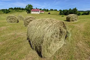 Haystack: Haymaking in the Jura region of Lamoura, France