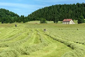 Haystack: Haymaking in the Jura region of Lamoura, France
