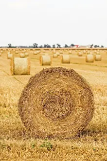 Bales: Haystack in the field after harvest. Round bales