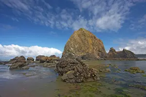 Haystack: Haystack Rock at low tide