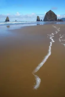 Haystack: Haystack Rock at low tide