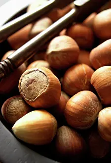 Hazel: Hazel, Cob-nut, Corylus avellana, Brown subject