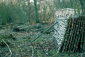 Coppice: Hazel - coppice products